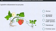 Интерактивные курсы. Биология 7 класс. Расширенный. - fgospostavki.ru - Каменск-Уральский