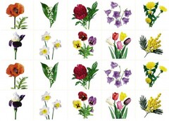 Комплект карточек "Запоминай, играй, считай" - Цветы - fgospostavki.ru - Каменск-Уральский