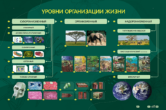 Электрифицированный стенд "Уровни организации жизни" - fgospostavki.ru - Каменск-Уральский