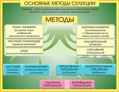 Стенд "Методы селекции и биотехнологии" - fgospostavki.ru - Каменск-Уральский