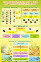 Стенд "Классификация животного мира" - fgospostavki.ru - Каменск-Уральский