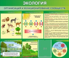 Стенд "Экология. Организация и функционирование сообществ" - fgospostavki.ru - Каменск-Уральский