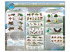 Стенд "Как выжить в суровых условиях" - fgospostavki.ru - Каменск-Уральский