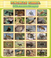 Стенд "Красная книга - млекопитающие" - fgospostavki.ru - Каменск-Уральский