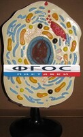 Модель "Клетка животного" - fgospostavki.ru - Каменск-Уральский