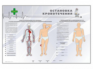 Электрифицированный стенд "Остановка кровотечения" - fgospostavki.ru - Каменск-Уральский