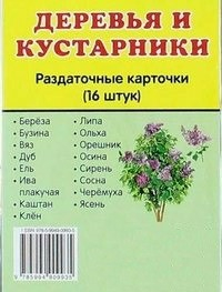 Раздаточные карточки "Деревья и кустарники" - fgospostavki.ru - Каменск-Уральский