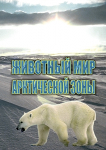 DVD "Животный мир Арктической зоны" - fgospostavki.ru - Каменск-Уральский
