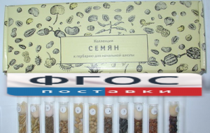 Коллекция "Семена к гербарию для начальной школы" (11 видов) - fgospostavki.ru - Каменск-Уральский