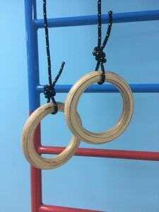 Кольца навесные для детского спортивного комплекса (диаметр 16 сантиметров, фанера) - fgospostavki.ru - Каменск-Уральский