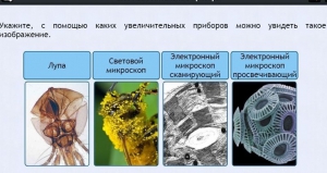 Интерактивные курсы. Биология 5 класс. Расширенный - fgospostavki.ru - Каменск-Уральский