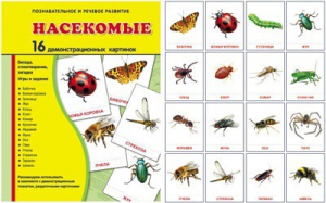 Демонстрационные карточки "Насекомые" - fgospostavki.ru - Каменск-Уральский