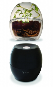 Набор для выращивания растений на свету и в темноте - fgospostavki.ru - Каменск-Уральский