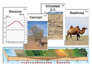 Модель-аппликация "Природные зоны" - fgospostavki.ru - Каменск-Уральский