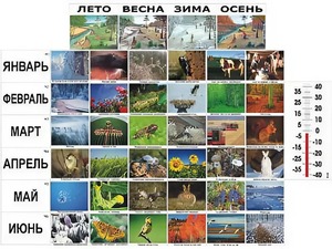 Фенологические наблюдения - fgospostavki.ru - Каменск-Уральский