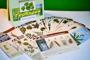 Гербарий к курсу основ общей биологии - fgospostavki.ru - Каменск-Уральский
