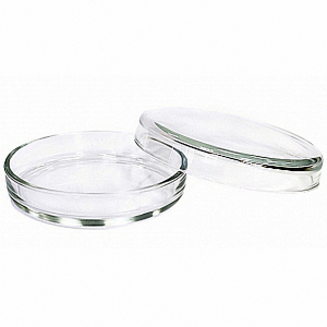 Чашка Петри 100х20 - fgospostavki.ru - Каменск-Уральский