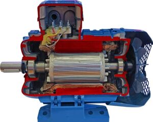 Учебная модель «Электродвигатель асинхронный в разрезе» - fgospostavki.ru - Каменск-Уральский