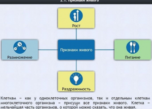 Интерактивные курсы. Биология 5 класс. Базовый - fgospostavki.ru - Каменск-Уральский