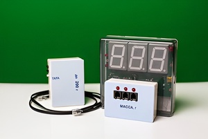 Датчик массы 200 г с независимой индикацией (весы с USB-переходником) - fgospostavki.ru - Каменск-Уральский