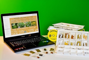 Коллекция натурально-интерактивная "Плоды сельскохозяйственных растений" - fgospostavki.ru - Каменск-Уральский