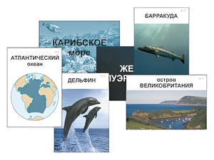 Модель-аппликация "Океаны. Знакомство" (ламинированная) - fgospostavki.ru - Каменск-Уральский