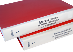 Практическое руководство по освоению системы Брайля для поздноослепших в 2-х книгах - fgospostavki.ru - Каменск-Уральский