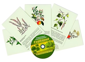 Интерактивный наглядный комплекс "Гербарий "Для начальной школы" - fgospostavki.ru - Каменск-Уральский