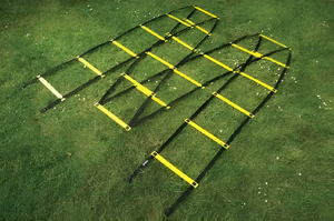 Лестница для тренировок (вариант 1) - fgospostavki.ru - Каменск-Уральский