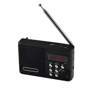 Радиоприемник цифровой с крупными кнопками - fgospostavki.ru - Каменск-Уральский