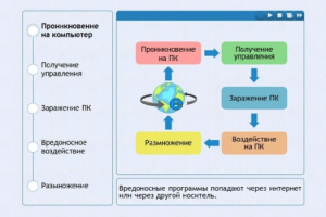 Интерактивные курсы. Информатика 10 класс . Базовый. - fgospostavki.ru - Каменск-Уральский