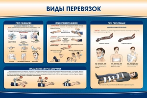 Стенд "Виды перевязок" - fgospostavki.ru - Каменск-Уральский