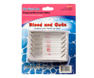 Набор микропрепаратов для микроскопа №1 «Человек» - fgospostavki.ru - Каменск-Уральский