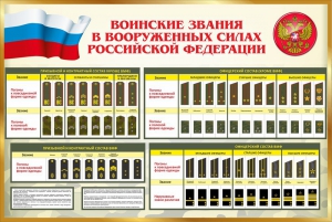 Стенд "Воинские звания в вооруженных силах РФ" - fgospostavki.ru - Каменск-Уральский