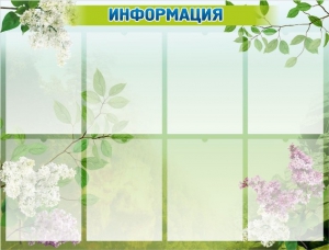 Стенд "Информация" Вариант 13 - fgospostavki.ru - Каменск-Уральский