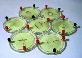 Демонстрационный комплект «Силовые линии электрического поля разных систем зарядов» - fgospostavki.ru - Каменск-Уральский