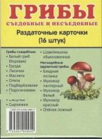 Раздаточные карточки "Грибы съедобные и не съедобные" - fgospostavki.ru - Каменск-Уральский