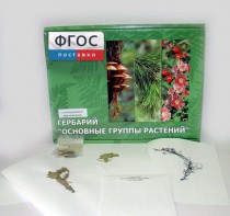 Гербарий "Основные группы растений" (52 листа) - fgospostavki.ru - Каменск-Уральский