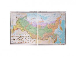 Учебная карта "Природные зоны России"  - fgospostavki.ru - Каменск-Уральский