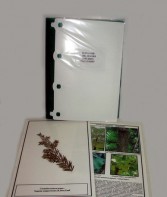 Гербарий "Эволюция высших растений" (ламинированный) - fgospostavki.ru - Каменск-Уральский