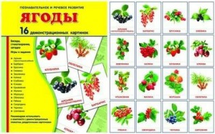 Демонстрационные карточки "Ягоды" - fgospostavki.ru - Каменск-Уральский