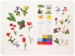 Набор магнитных карточек "Загадки-отрицания". Цветы - fgospostavki.ru - Каменск-Уральский