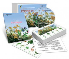 Комбинированное наглядное пособие «Растения» - fgospostavki.ru - Каменск-Уральский