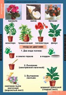 Комплект таблиц. Окружающий мир 1 класс. - fgospostavki.ru - Каменск-Уральский