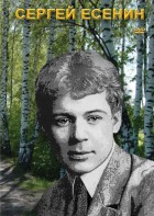 DVD "Сергей Есенин" - fgospostavki.ru - Каменск-Уральский