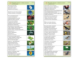 Комплект карточек (10) "Обучающий калейдоскоп. Природа" - fgospostavki.ru - Каменск-Уральский
