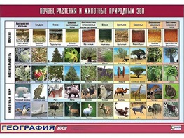 Таблица демонстрационная "Почвы, растения и животные природных зон" (винил 70*100) - fgospostavki.ru - Каменск-Уральский