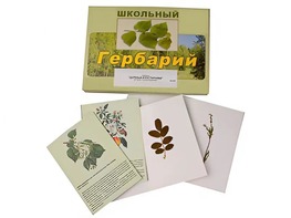 Гербарий "Деревья и кустарники" (22 вида, с иллюстрациями) - fgospostavki.ru - Каменск-Уральский