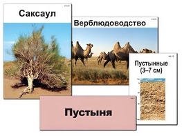 Модель-аппликация "Природные зоны России" (ламинированная) - fgospostavki.ru - Каменск-Уральский