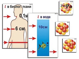 Модель-аппликация "Явление радиоактивности" (ламинированная) - fgospostavki.ru - Каменск-Уральский